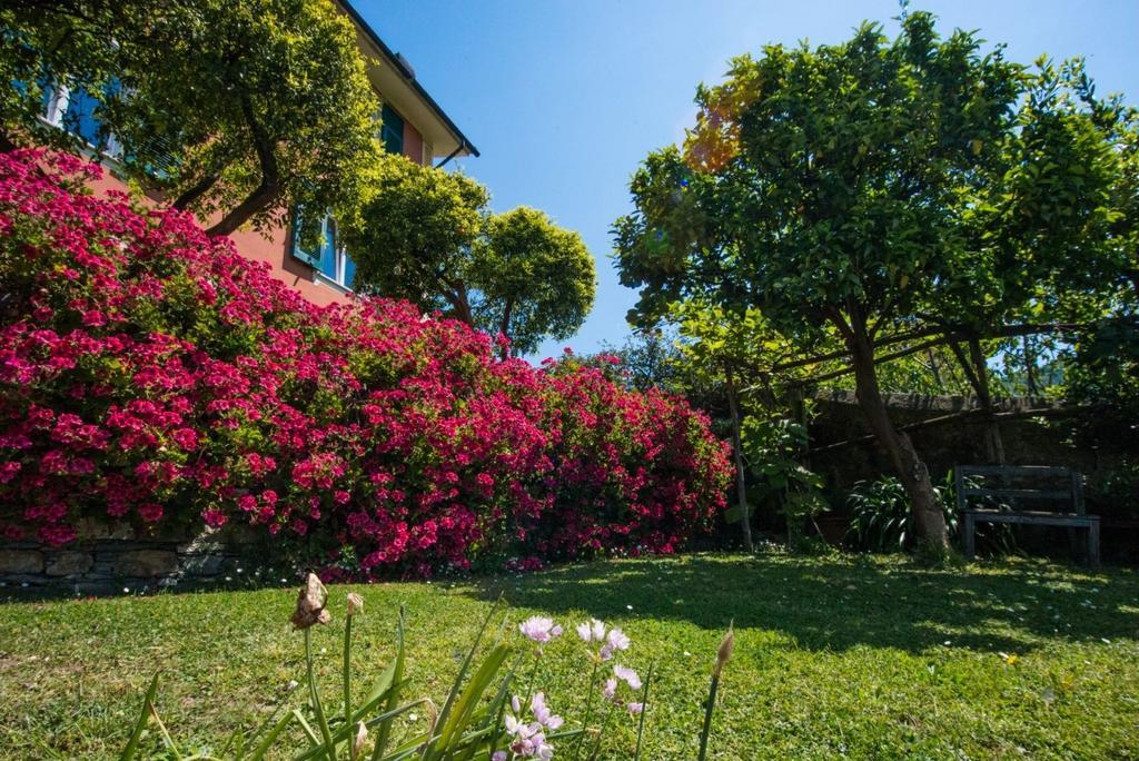 克莱门汀住宿加早餐旅馆 卡莫利 外观 照片